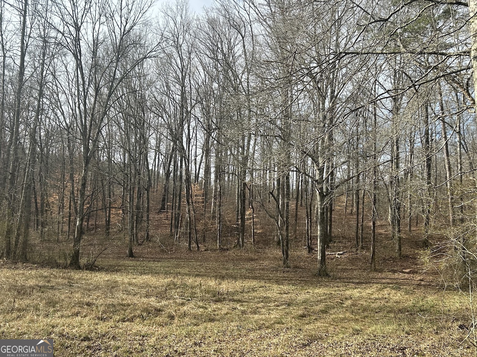 111 Riversong (tract 26) Carrollton, GA 30117 - Photo 55 of 72 a view of a backyard of the house