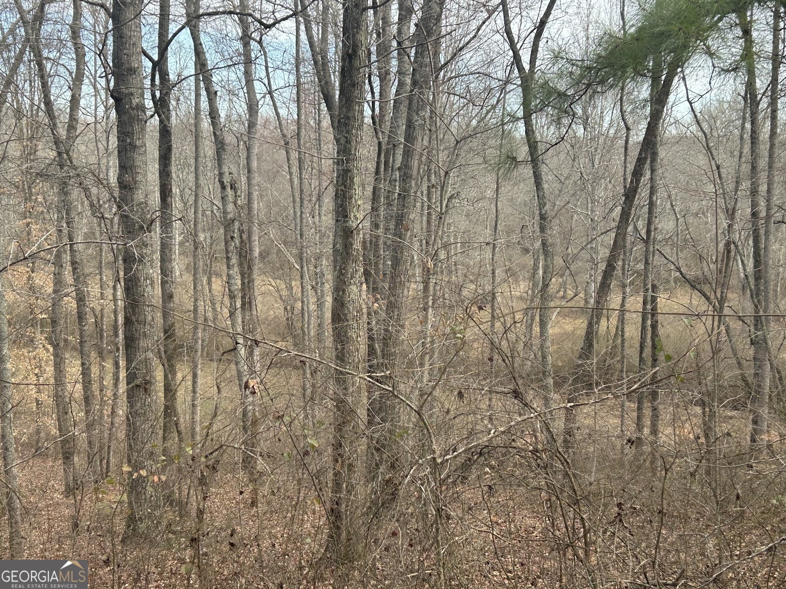 111 Riversong (tract 26) Carrollton, GA 30117 - Photo 58 of 72