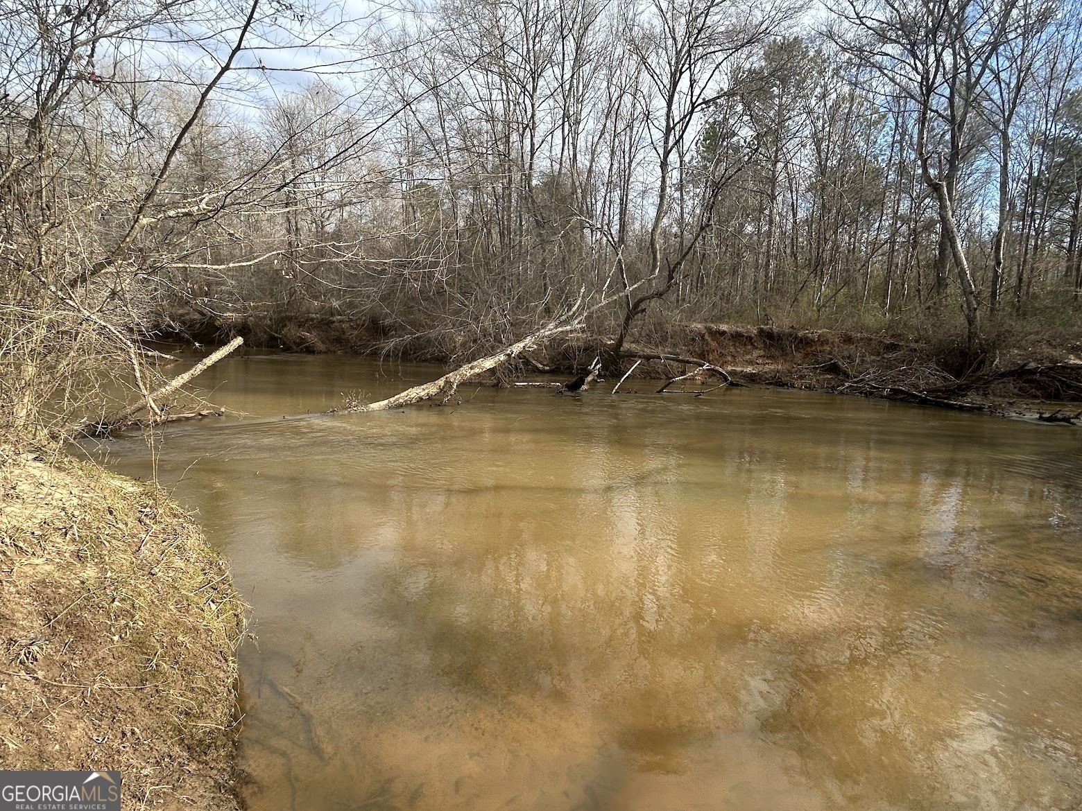 111 Riversong (tract 26) Carrollton, GA 30117 - Photo 60 of 72 a view of a swimming pool with an outdoor space