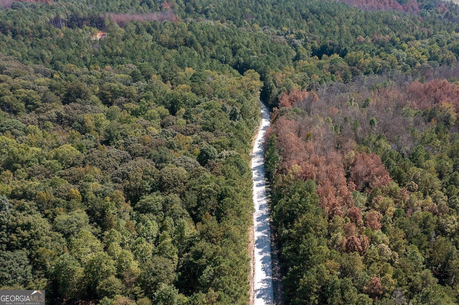 111 Riversong (tract 26) Carrollton, GA 30117 - Photo 6 of 72 an aerial view of residential house with outdoor space and trees all around