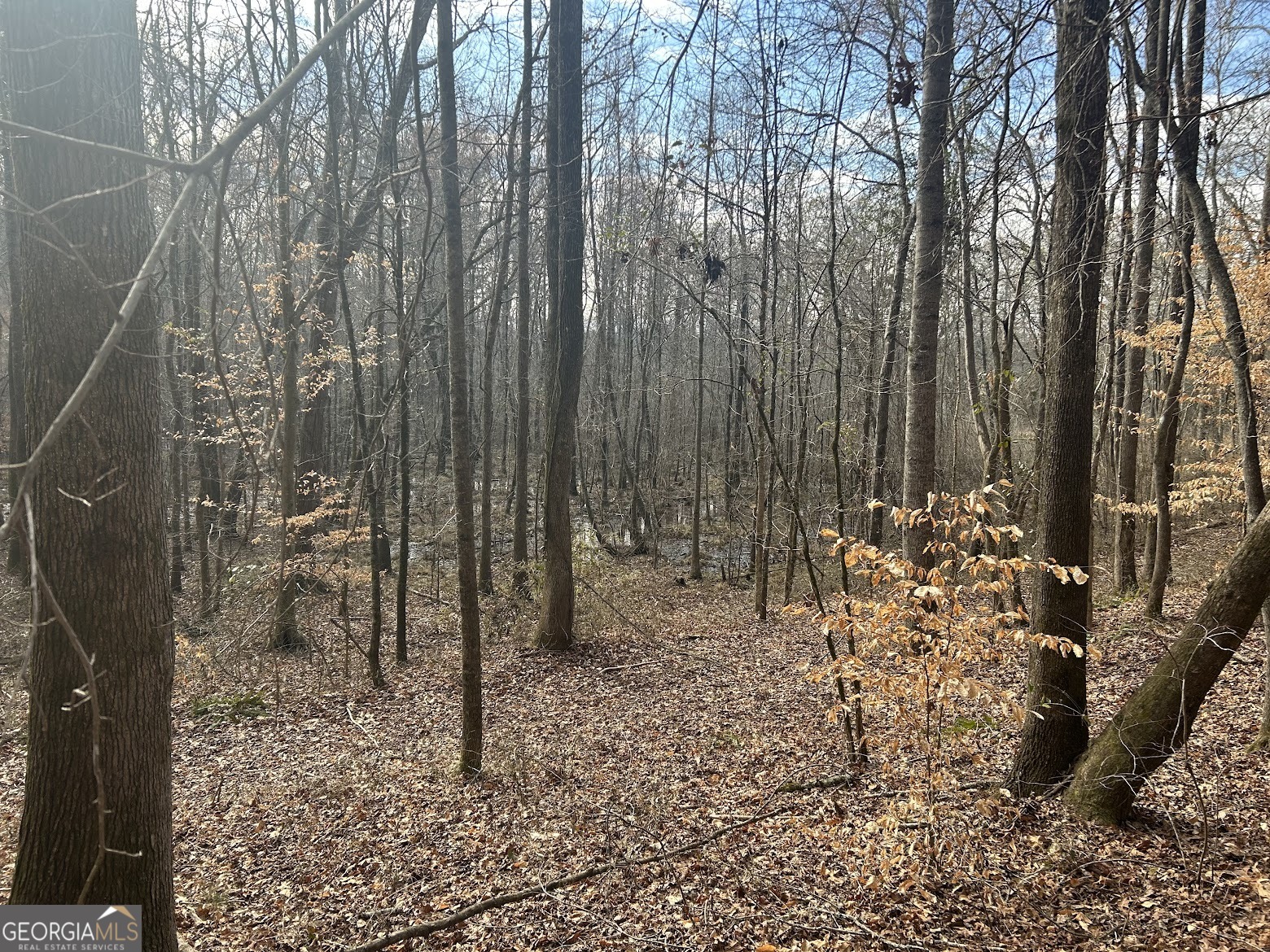 111 Riversong (tract 26) Carrollton, GA 30117 - Photo 66 of 72 a view of a yard with plants and trees