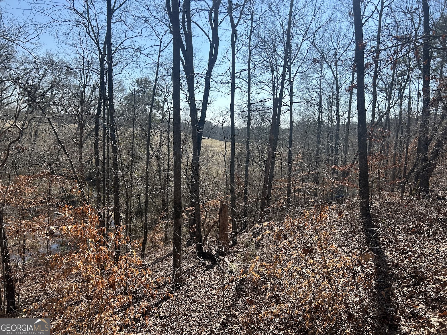 111 Riversong (tract 26) Carrollton, GA 30117 - Photo 72 of 72 a view of forest