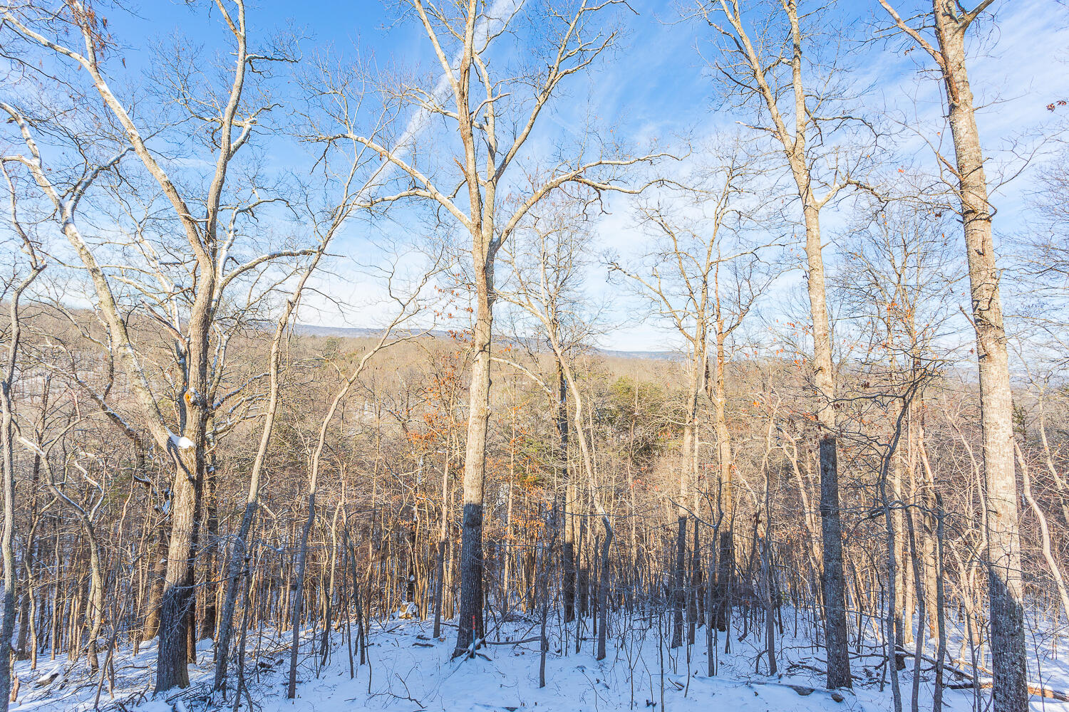 11119 Fritts Road Soddy Daisy, TN 37379 - Photo 45 of 46 11119 Fritts HD-9