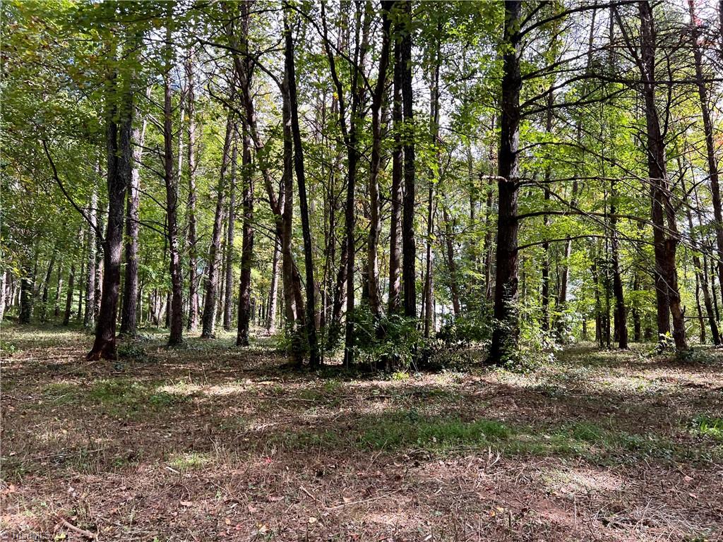 0 Jackson Road, Unit 8 64 AC Mount Airy, NC 27030 - Photo 11 of 15