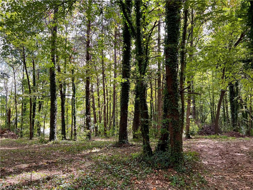 0 Jackson Road, Unit 8 64 AC Mount Airy, NC 27030 - Photo 12 of 15