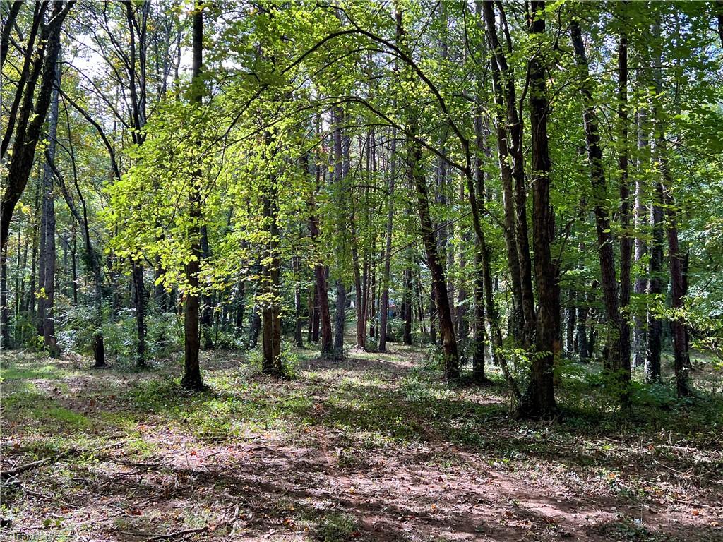 0 Jackson Road, Unit 8 64 AC Mount Airy, NC 27030 - Photo 3 of 15