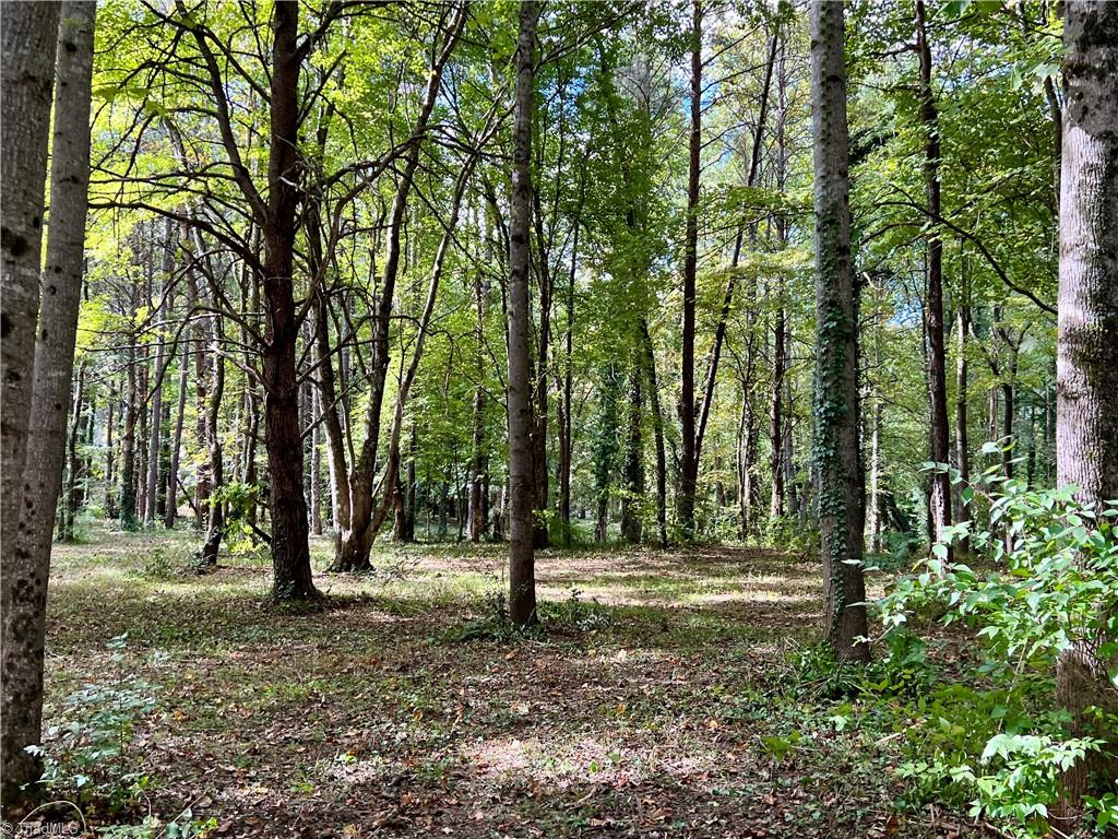 0 Jackson Road, Unit 8 64 AC Mount Airy, NC 27030 - Photo 5 of 15