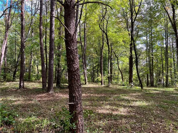 $140,000 | 0 Jackson Road, Unit 8 64 AC, Mount Airy, NC 27030