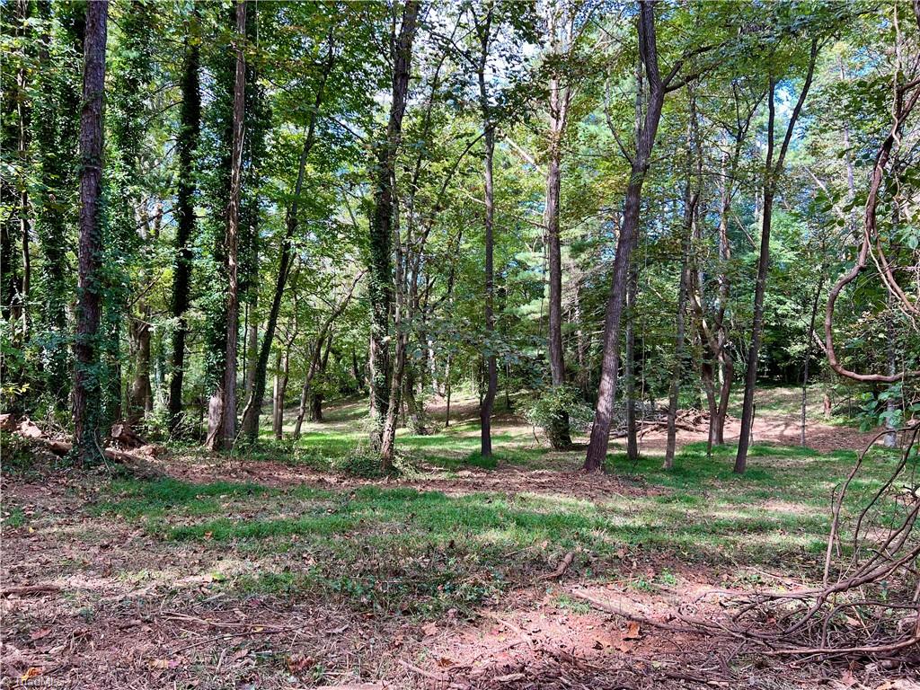 0 Jackson Road, Unit 8 64 AC Mount Airy, NC 27030 - Photo 9 of 15