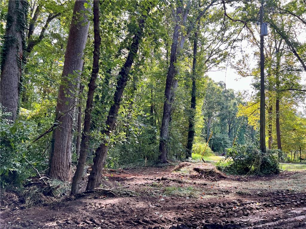 0 Jackson Road, Unit 8 64 AC Mount Airy, NC 27030 - Photo 10 of 15