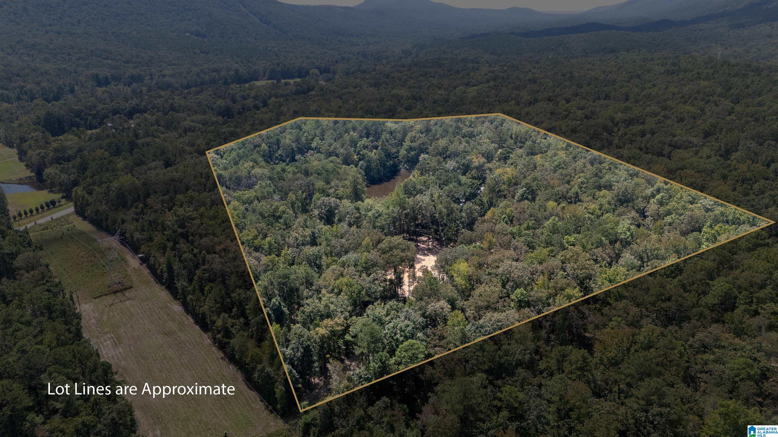 9215 Bear Creek Road Sterrett, AL 35147 - Photo 89 of 99