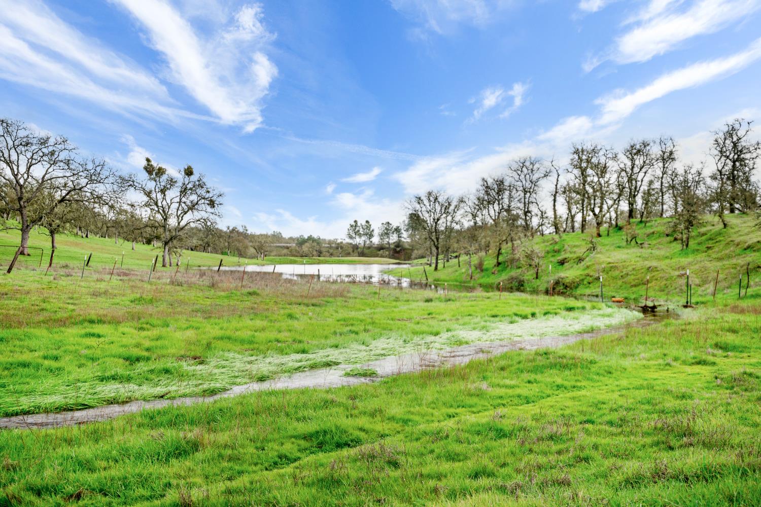 3570 Stagecoach Road Copperopolis, CA 95228 - Photo 49 of 67 small creek runs into pond pond is not part of the subject property