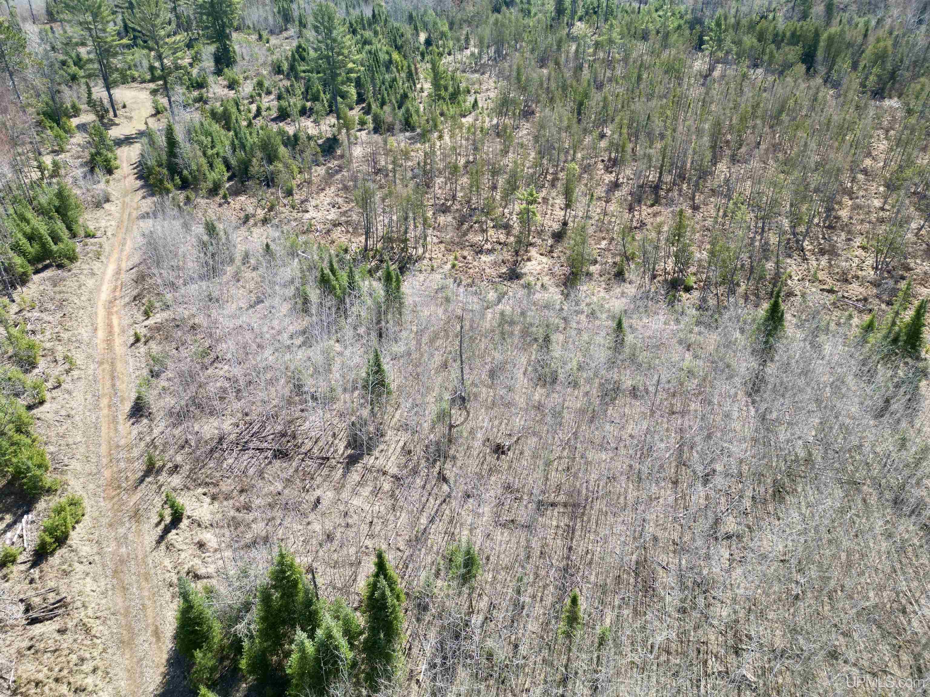 577 Rd Vulcan Mi 49892 Road Vulcan, MI 49892 - Photo 3 of 17