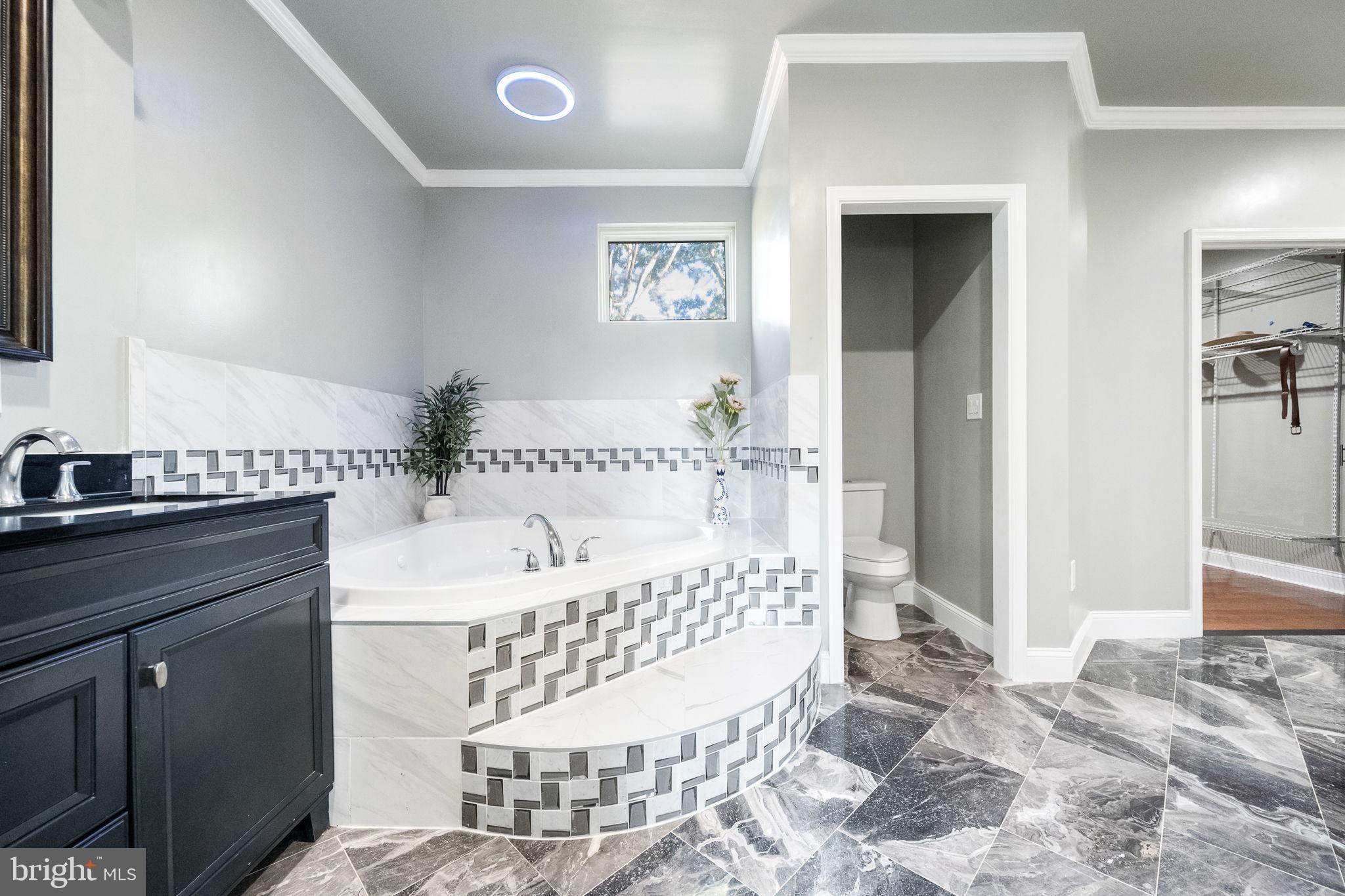6709 Benson Drive Alexandria, VA 22306 - Photo 36 of 66 a bathroom with a sink and a mirror