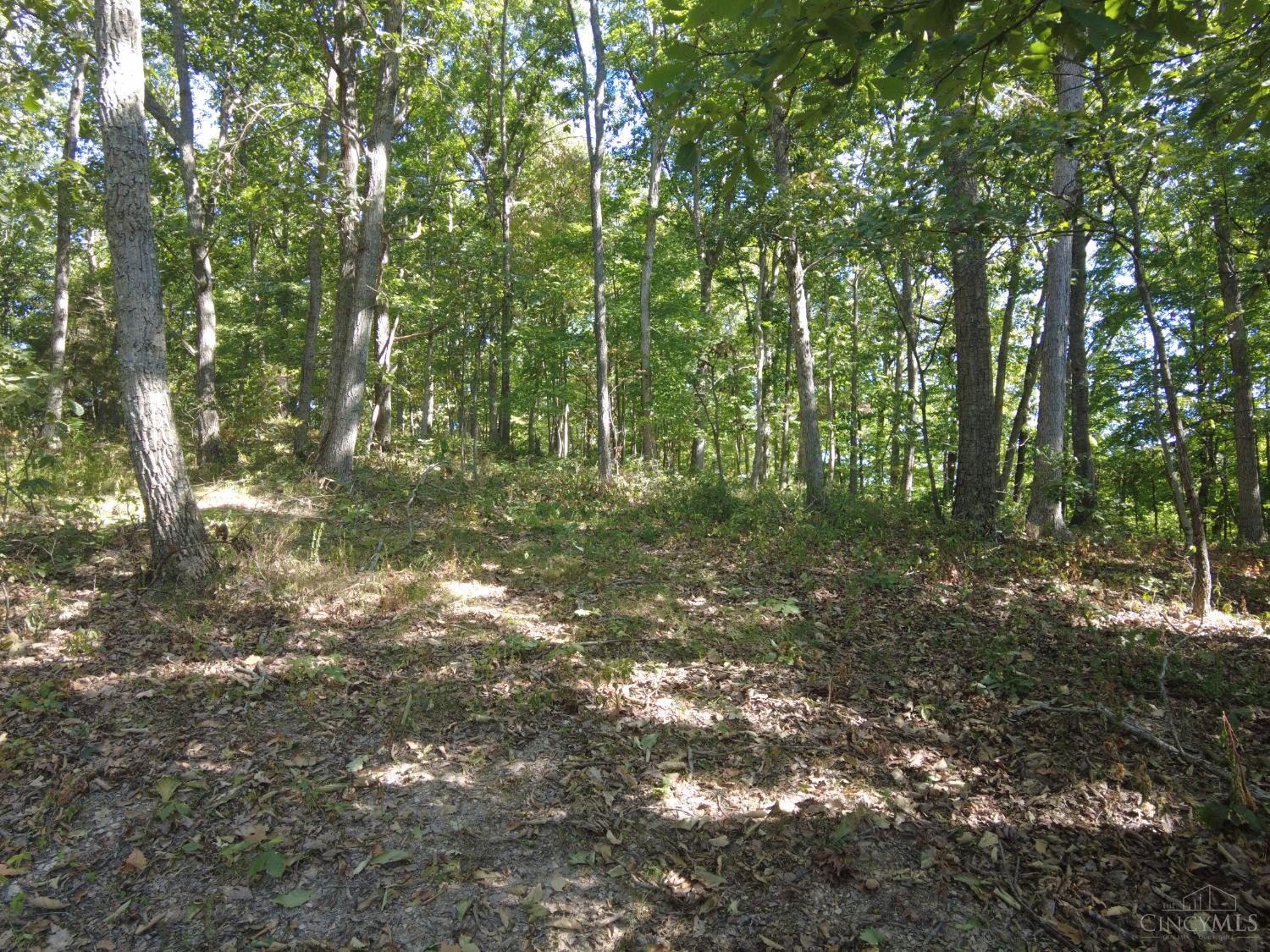 16 Black Hollow Road Peebles, OH 45660 - Photo 26 of 39