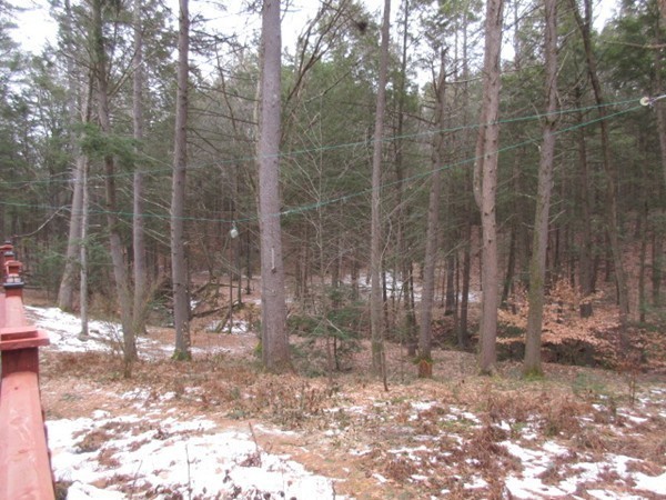 87 Stony Hill Road Amherst, MA 01002 - Photo 30 of 30 Gallery Image 30