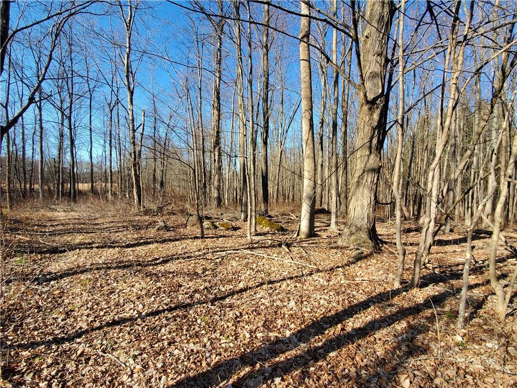 a view of a backyard of the house