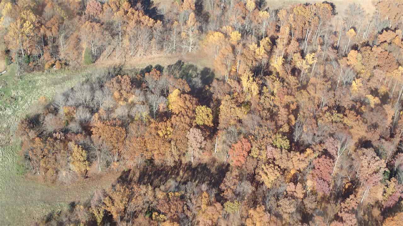 3005 Stonington Road Mitchell, IN 47446 - Photo 5 of 29 Gallery Image 5