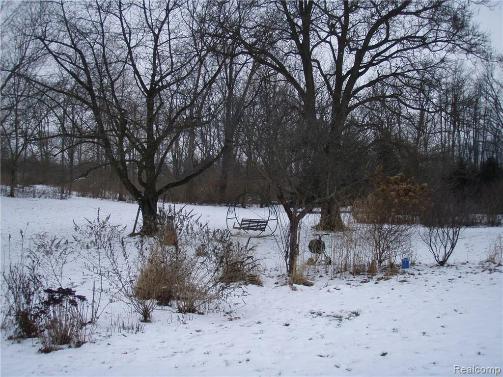 11754 Merrill Road Whitmore Lake, MI 48189 - Photo 12 of 42 64.JPG