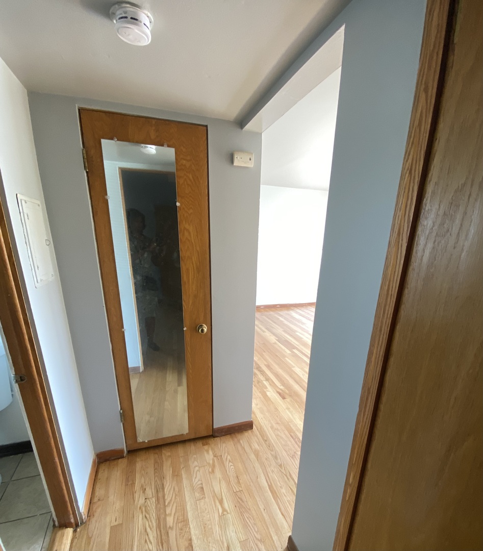 18231 Morgan Avenue, Unit 2N Homewood, IL 60430 - Photo 11 of 28 a view of front door