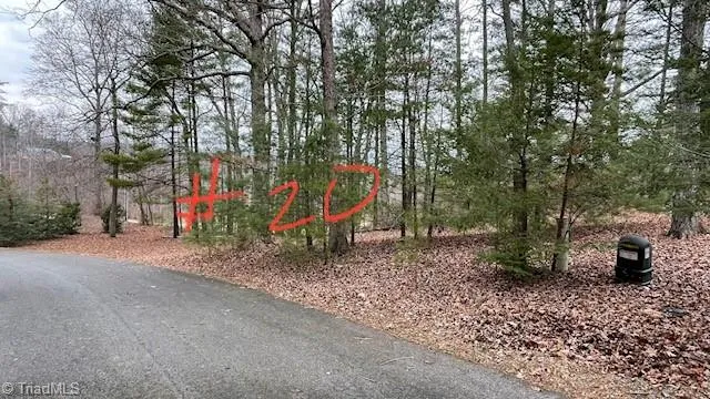 $29,999 | Lot 20 Woods Haven Lane, Stuart, VA 24171