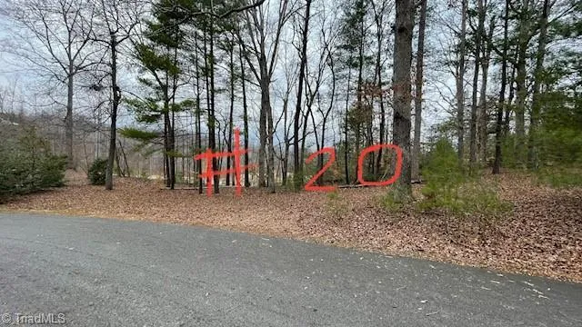 $29,999 | Lot 20 Woods Haven Lane, Stuart, VA 24171
