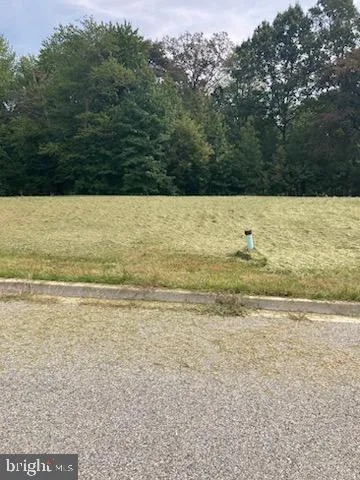 a view of a green field