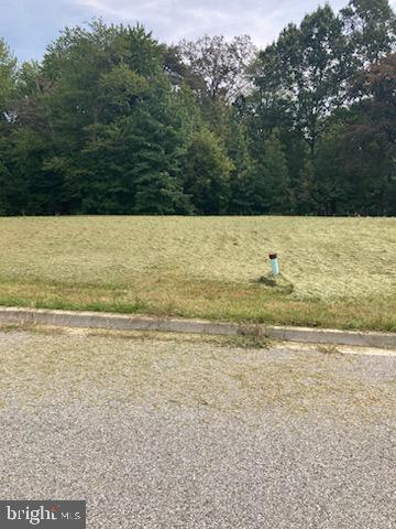 a view of a green field