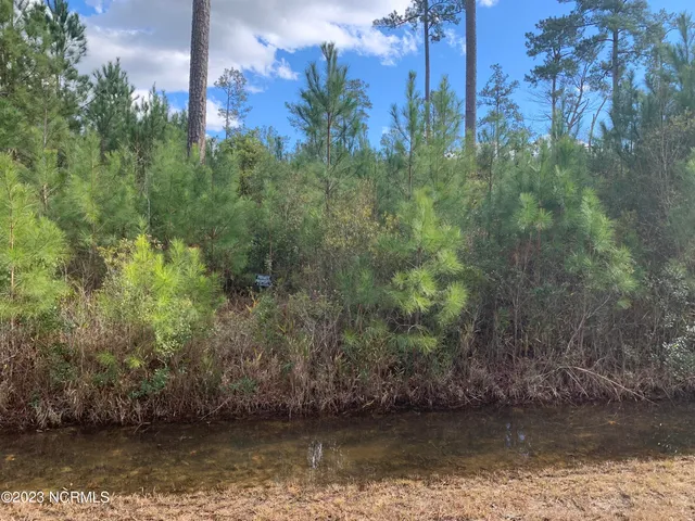 $12,500 | 242 Castaway Road, Merritt, NC 28556