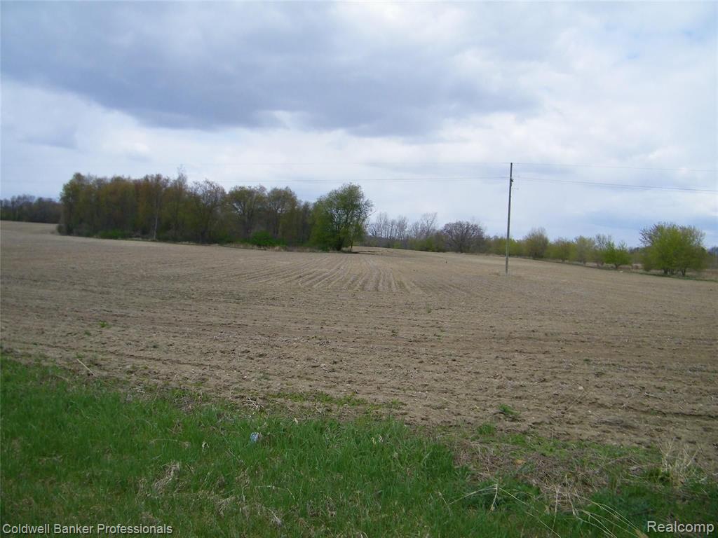 Parcel B Old State Road North Branch, MI 48461 - Photo 1 of 6