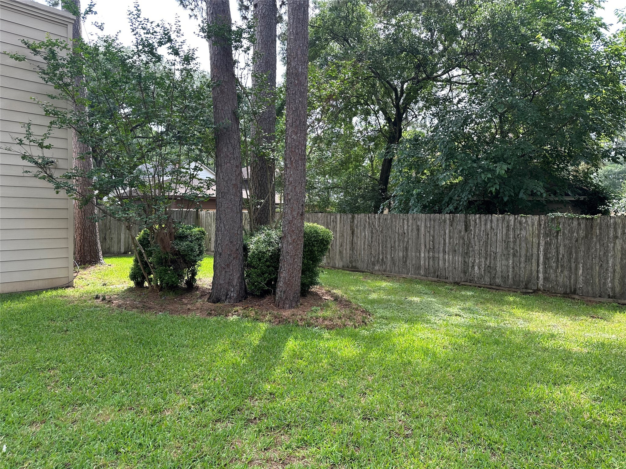 17406 Spicewood Springs Lane Spring, TX 77379 - Photo 38 of 50 a view of a backyard with tree