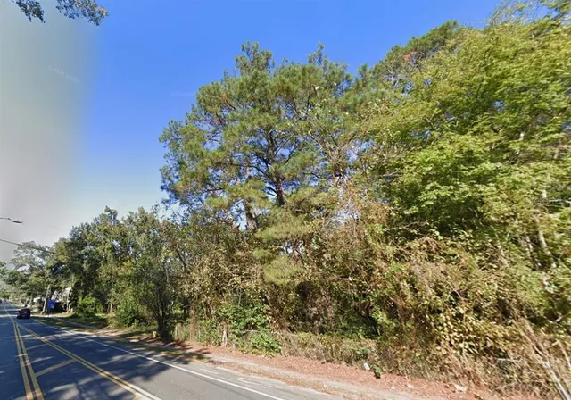 a view of a yard with plants and trees
