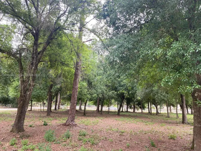a view of outdoor space with trees