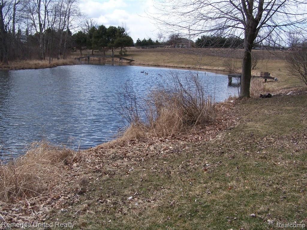 6133 Green Road Fenton, MI 48430 - Photo 2 of 5 POND