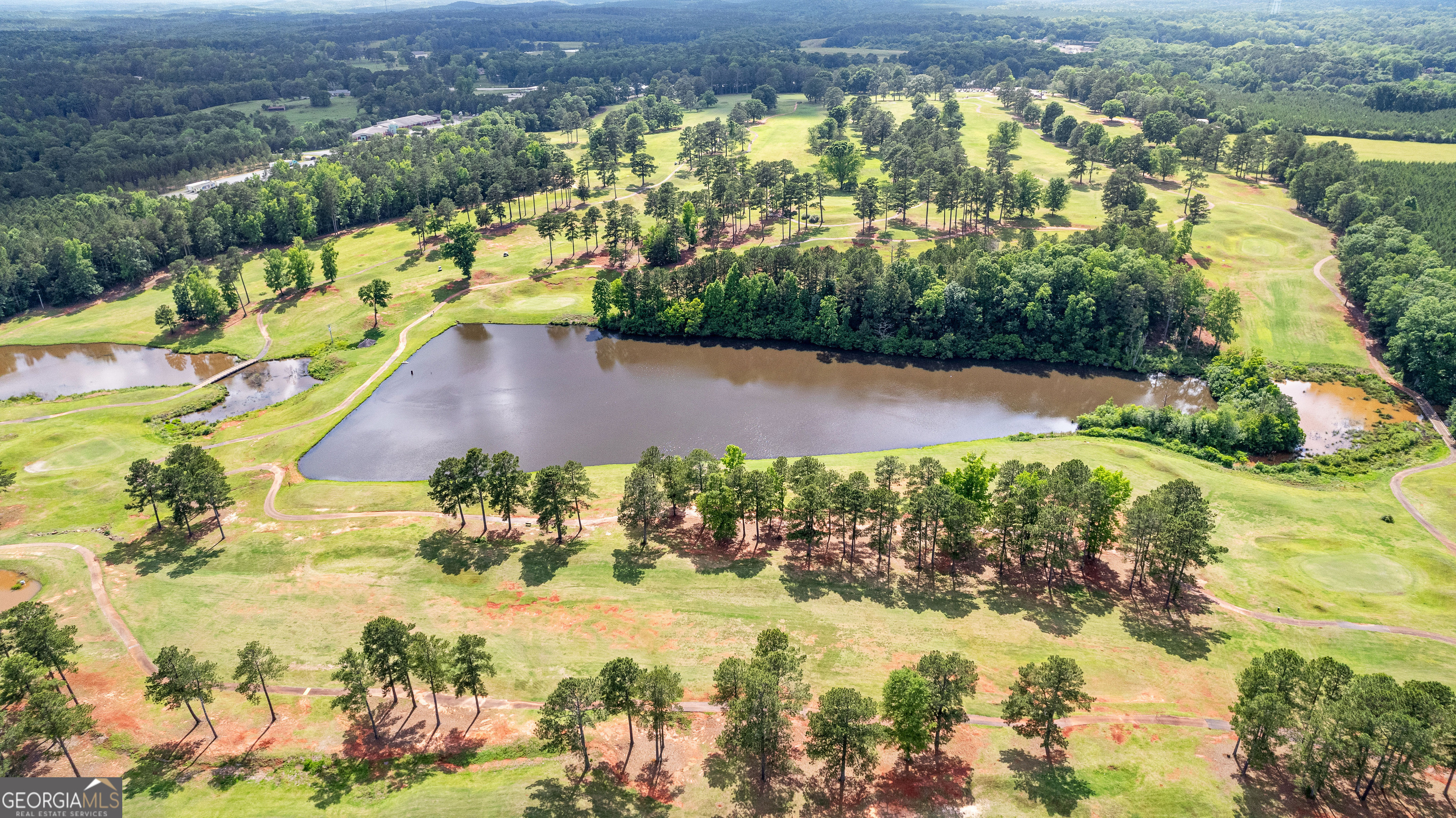 1224 Waymanville Road Thomaston, GA 30286 - Photo 3 of 47