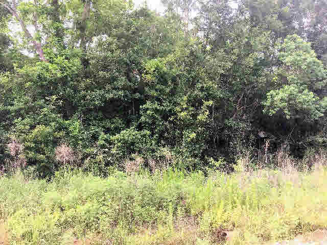 17531 Caldwell Lane Foley, AL 36535 - Photo 1 of 5