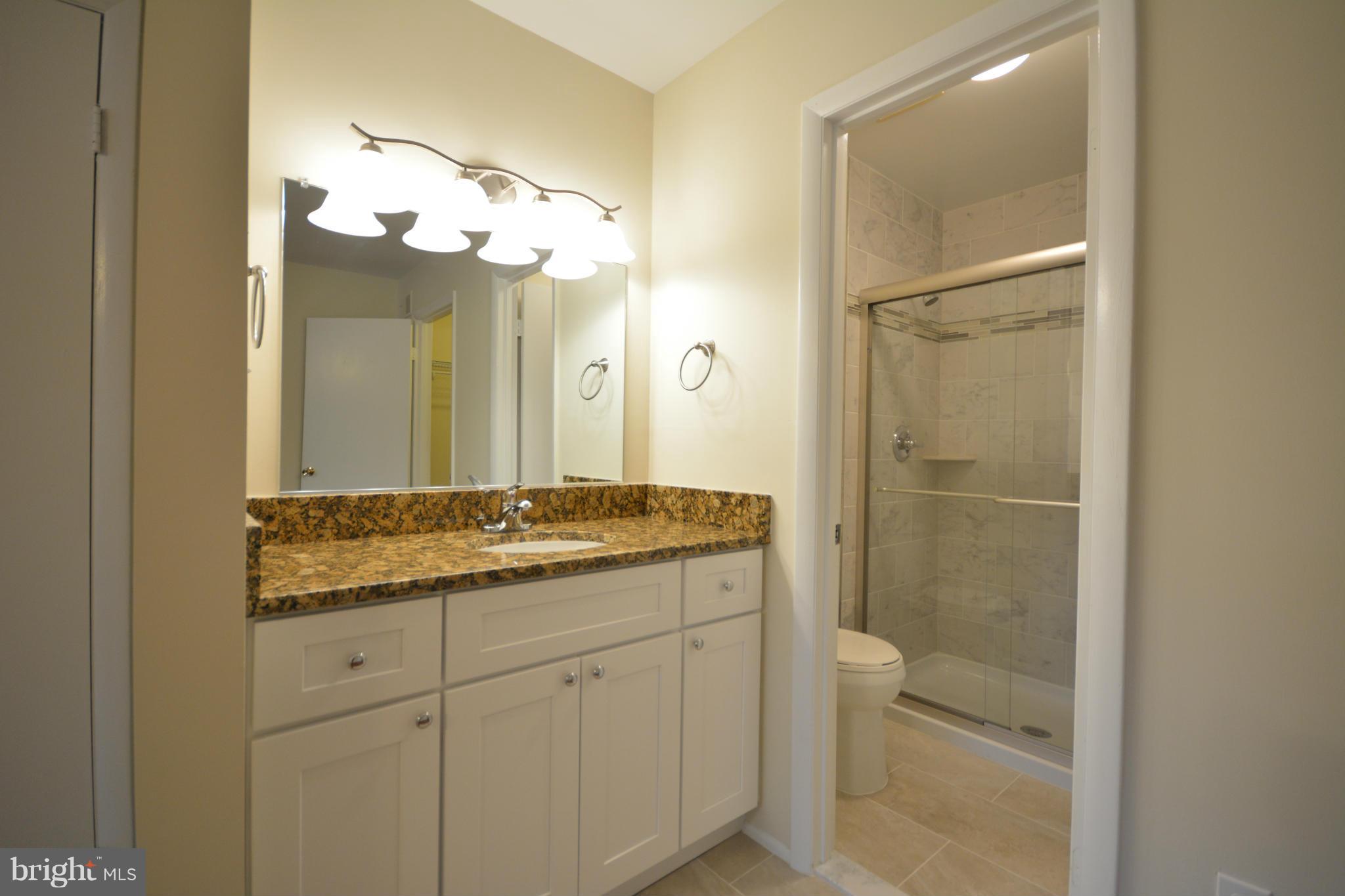 13203 Delaney Road Woodbridge, VA 22193 - Photo 28 of 30 a bathroom with a granite countertop sink mirror and a shower