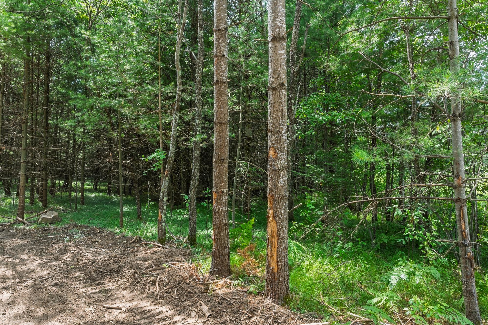 Off Church Road, Unit 2 Conover, WI 54519 - Photo 11 of 27