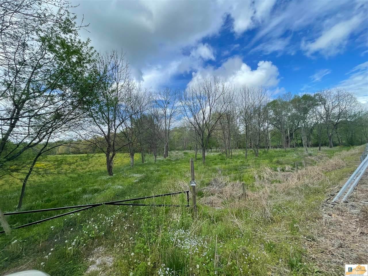 Parcel Thomerson Park Road Austin, KY 42123 - Photo 1 of 1 Gallery Image 1