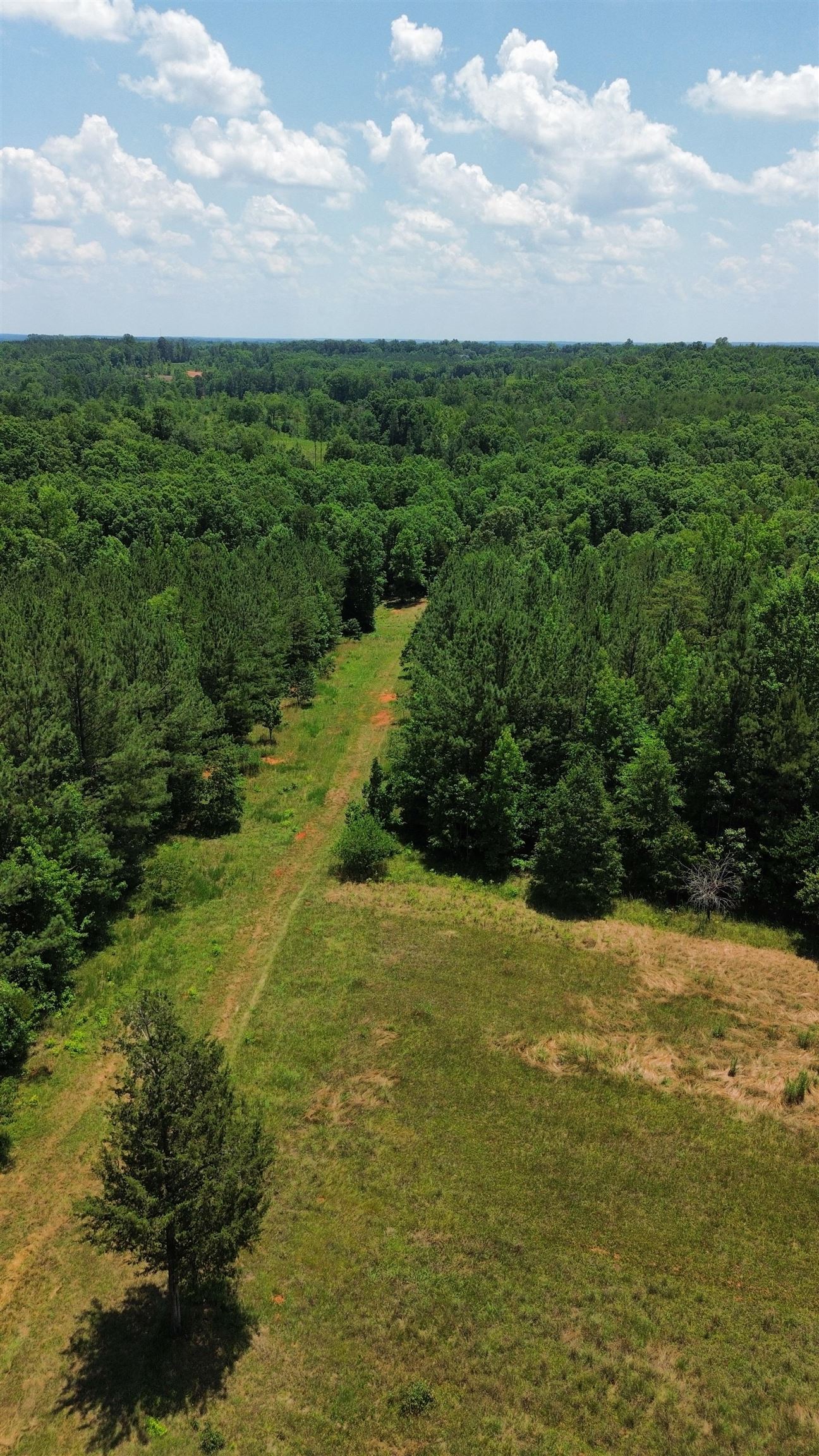 246 Lee Road Jonesville, SC 29353 - Photo 9 of 38