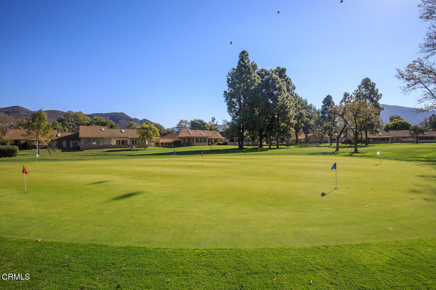 4113 Village 4 Camarillo, CA 93012 - Photo 25 of 50 a view of a big yard with an trees