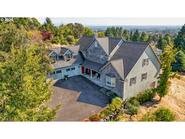 a aerial view of a house with a big yard plants and large trees