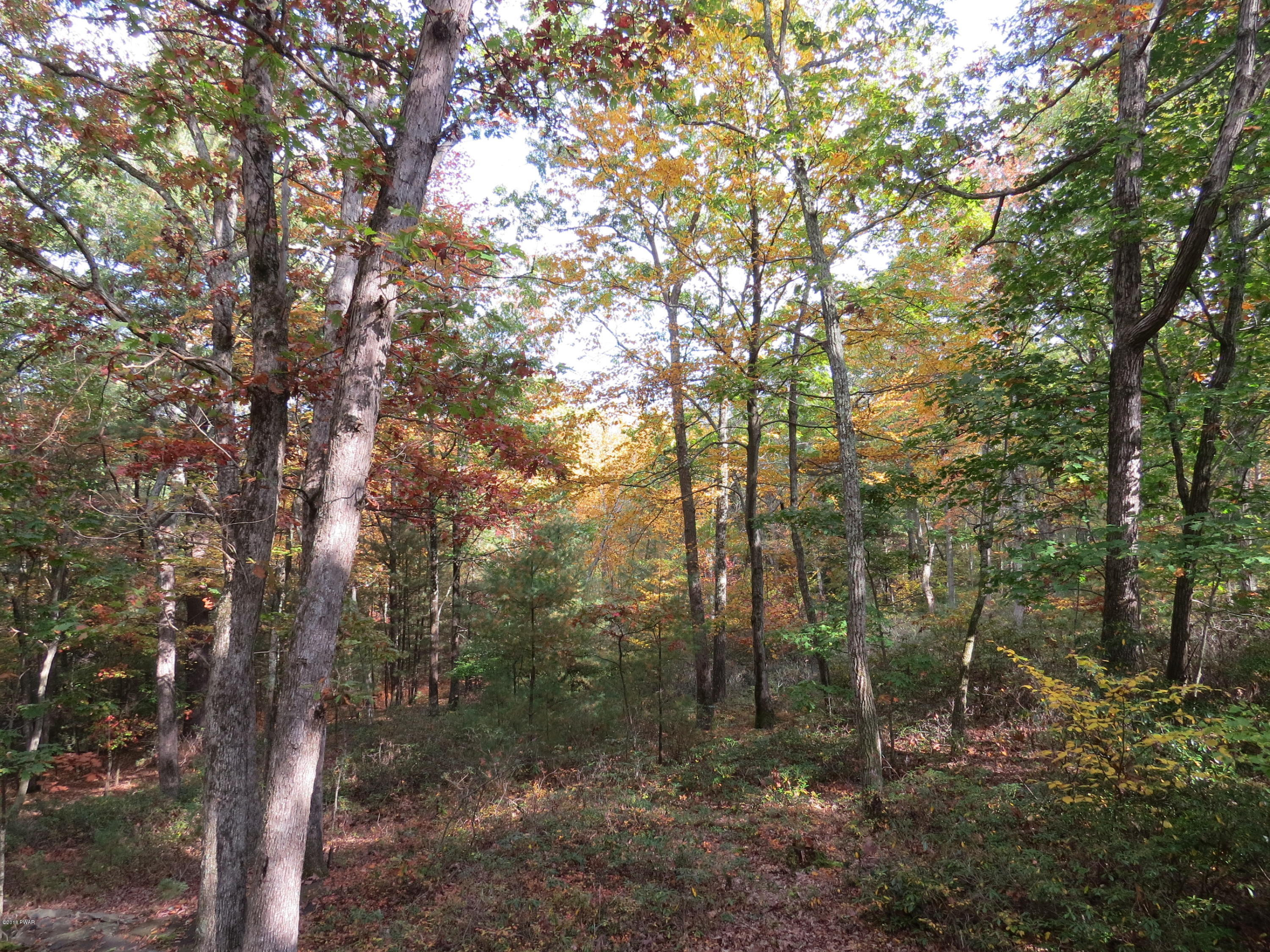 114 Cree Road Shohola, PA 18458 - Photo 16 of 17 property 2