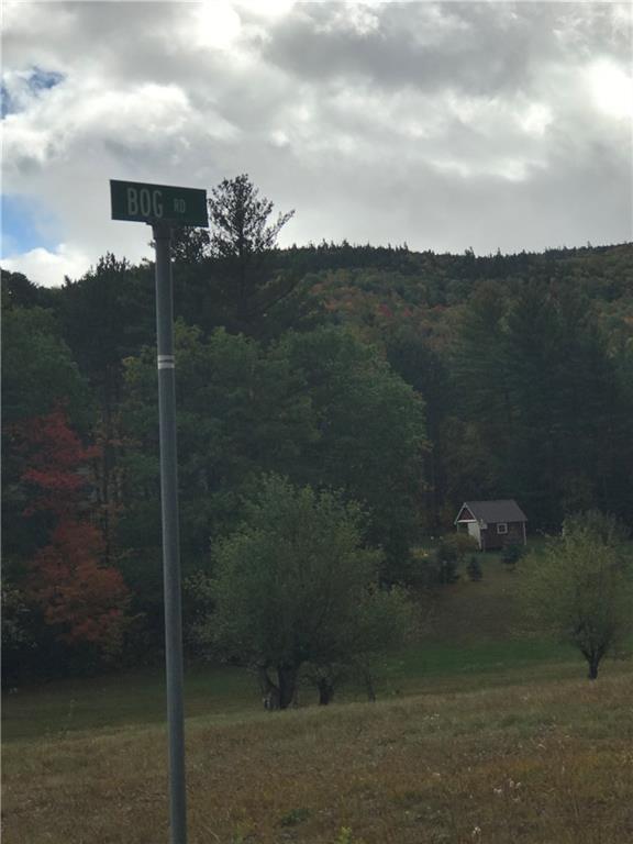 0 Bog Road Bethel, ME 04217 - Photo 17 of 17 Photo