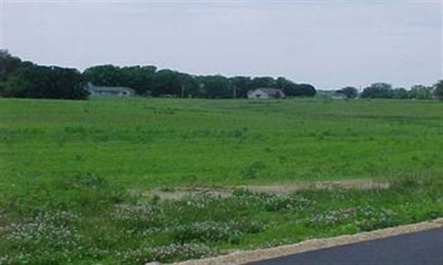a view of a green field with trees in the background