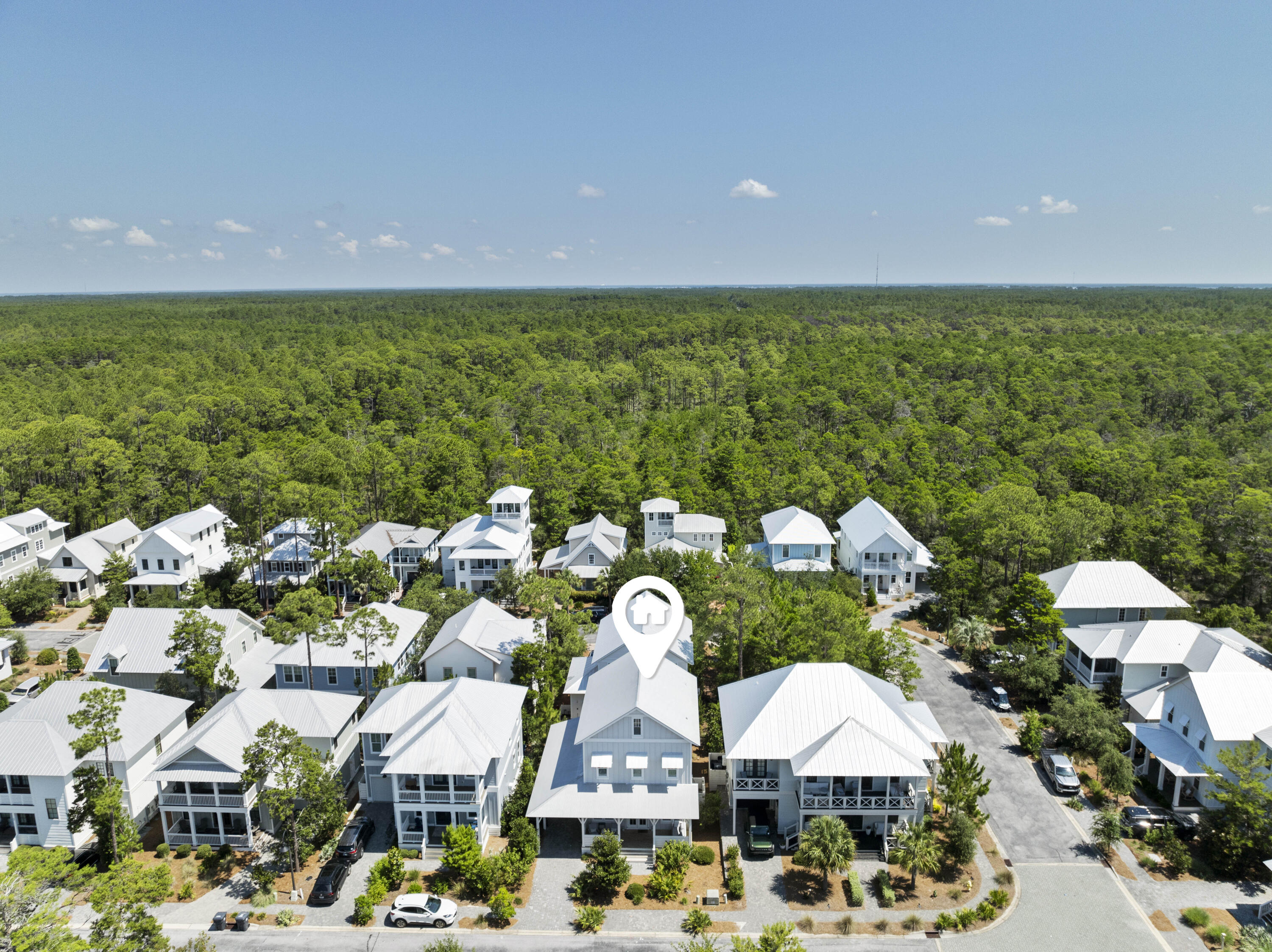 20 Ibis Drive Santa Rosa Beach, FL 32459 - Photo 4 of 46 Aerial