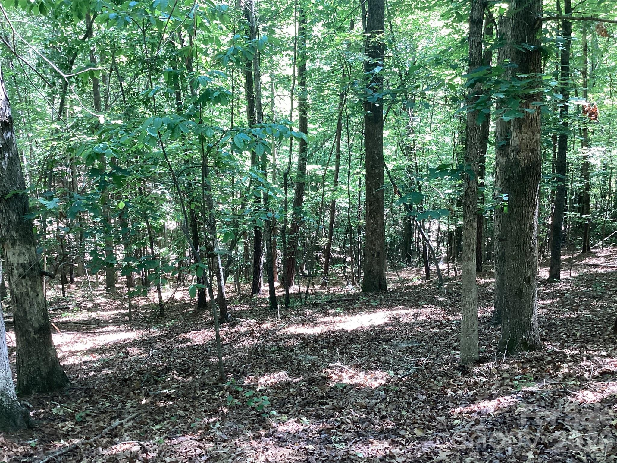 0 Powell Road Mill Spring, NC 28756 - Photo 16 of 22