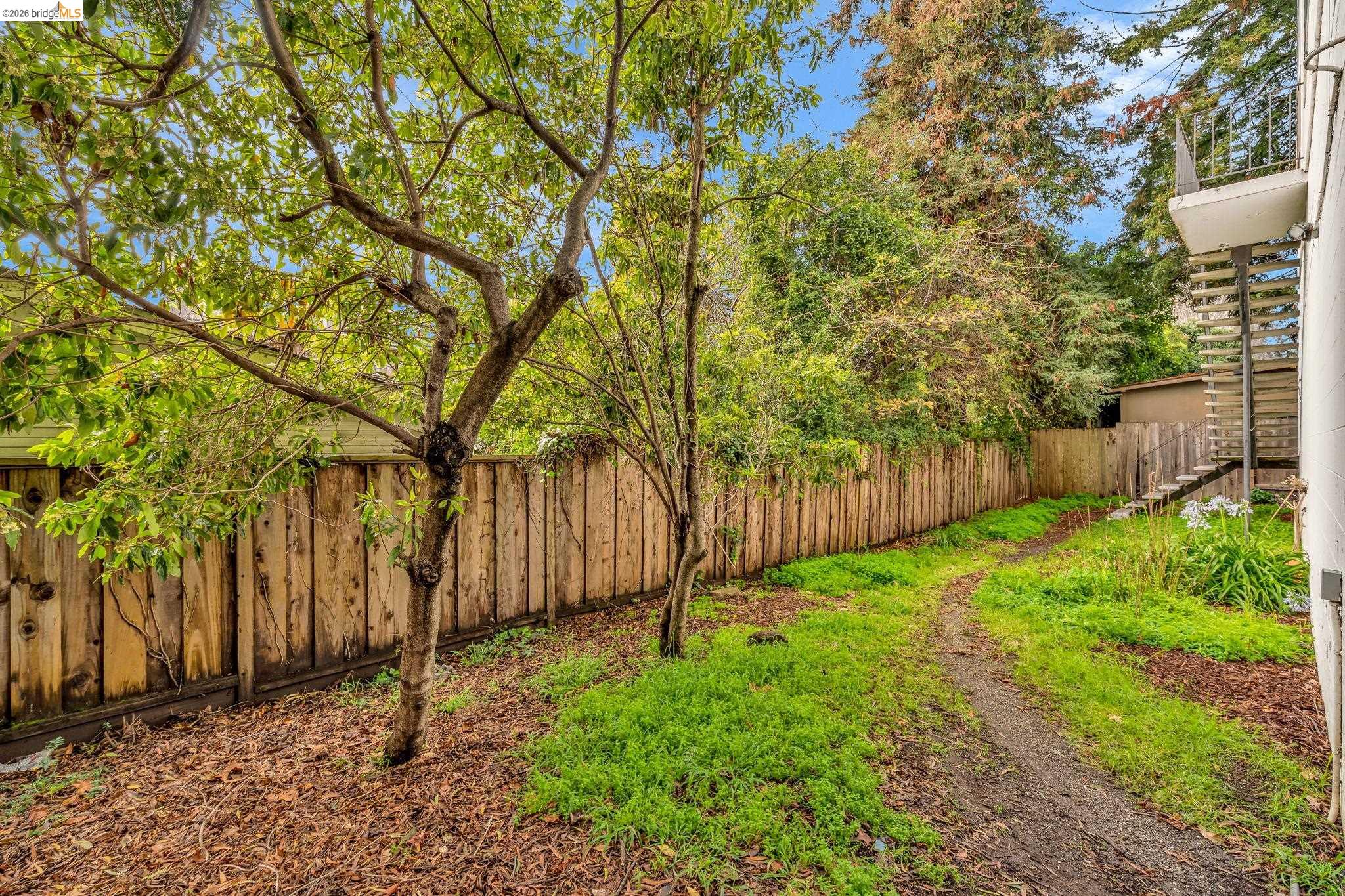 2632 Warring Street, Unit 3 Berkeley, CA 94704 - Photo 19 of 23 a view of a backyard with wooden fence and a large tree