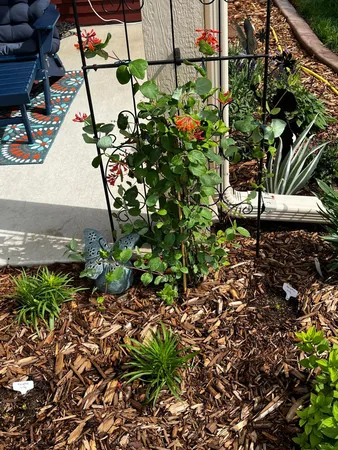 $409,900 | 1922 Sandstone Loop South, Sartell, MN 56377