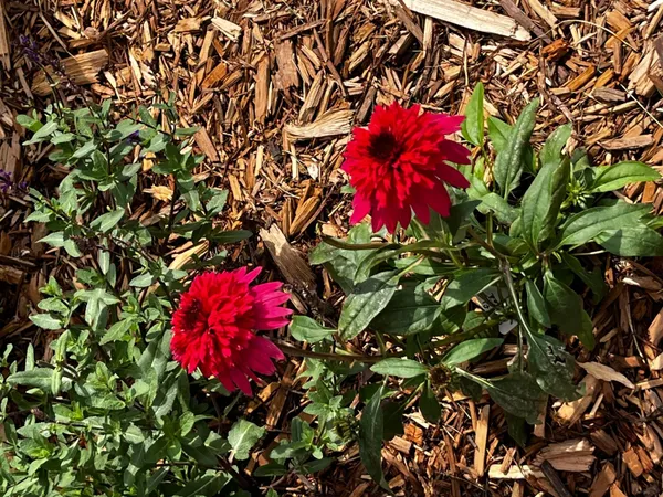 $409,900 | 1922 Sandstone Loop South, Sartell, MN 56377